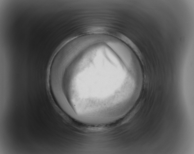 X0000087551386200705251731