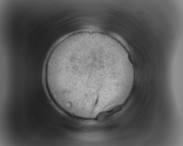 X0000087551387200705251731