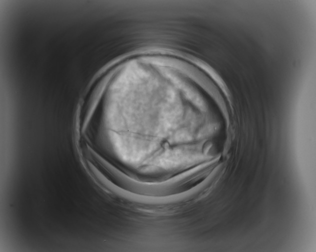 X0000087551388200705251731