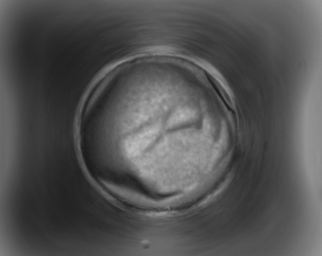 X0000087551389200705251731