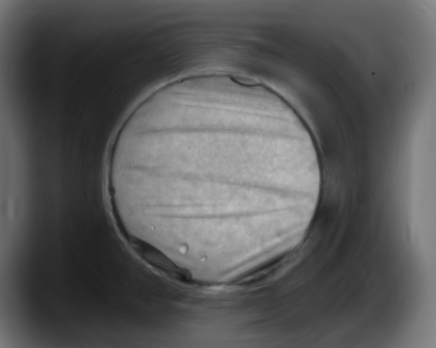 X0000087551390200705251731