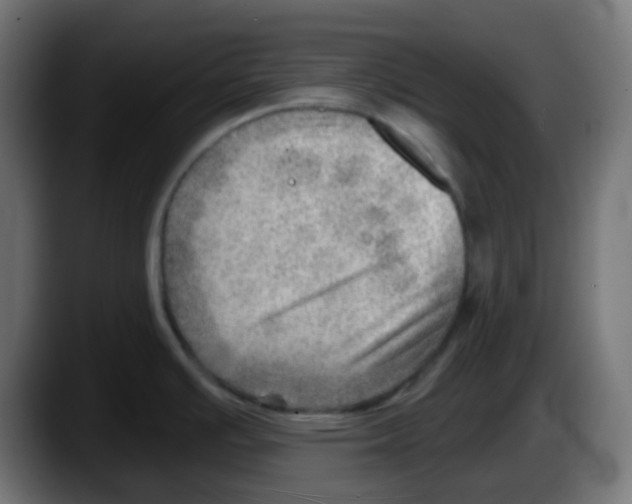 X0000087551391200705251731