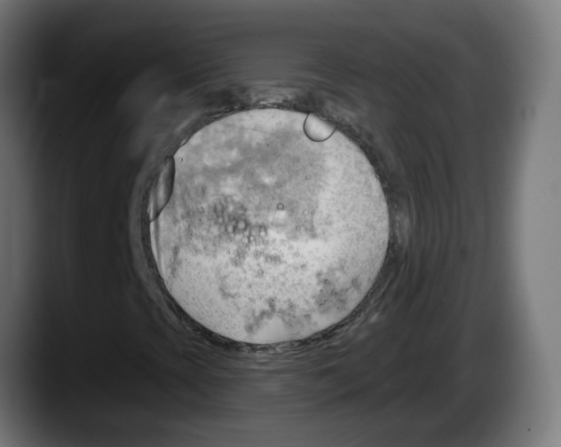 X0000087551393200705251731