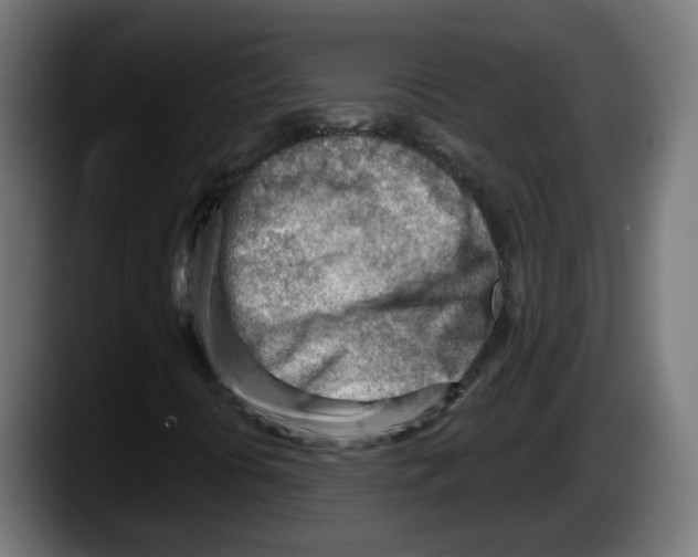 X0000087551394200705251731