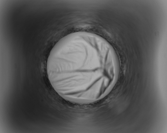 X0000087551397200705251731