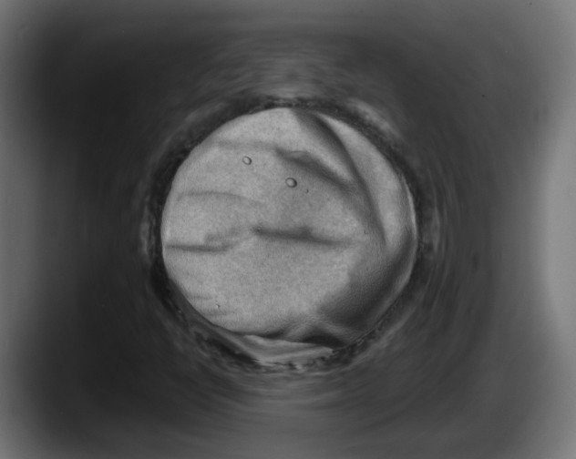 X0000087551398200705251731