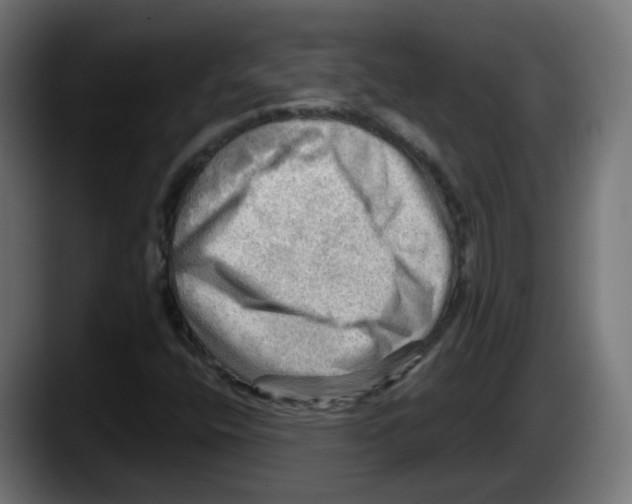 X0000087551400200705251731