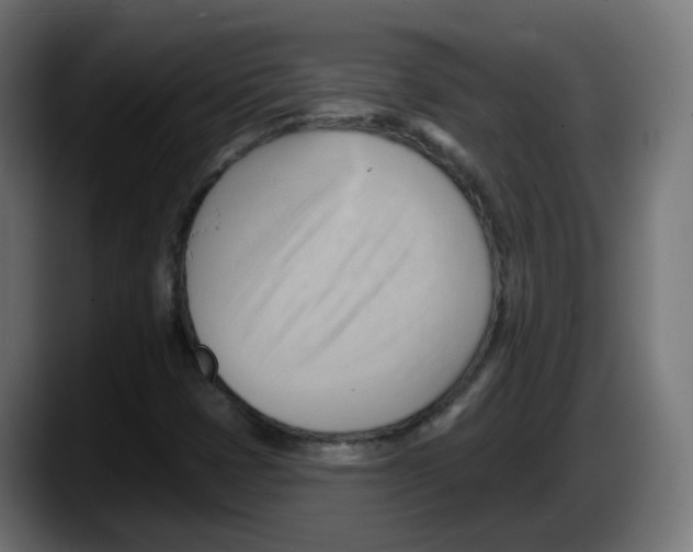 X0000087551401200705251731