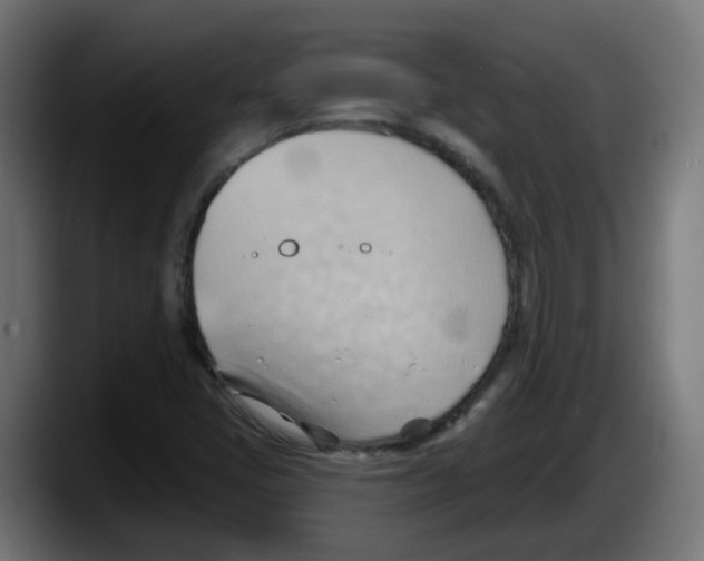 X0000087551405200705251731