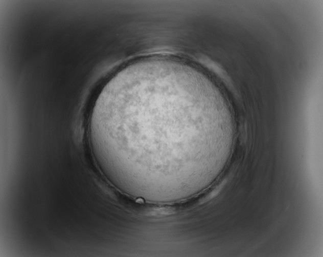 X0000087551406200705251731