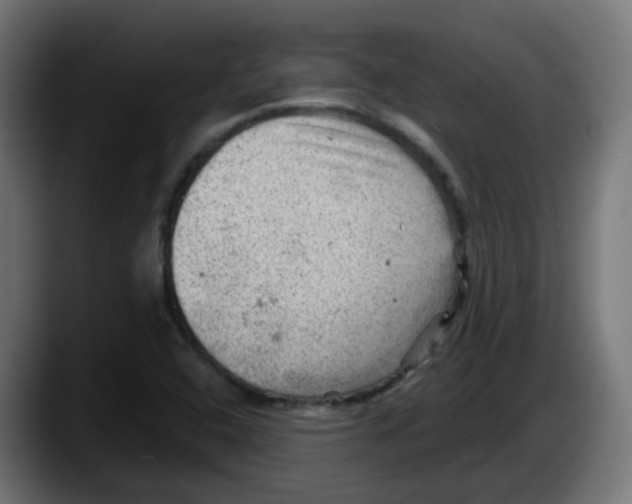 X0000087551408200705251731