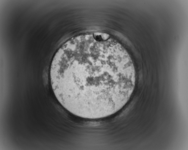 X0000087551409200705251731