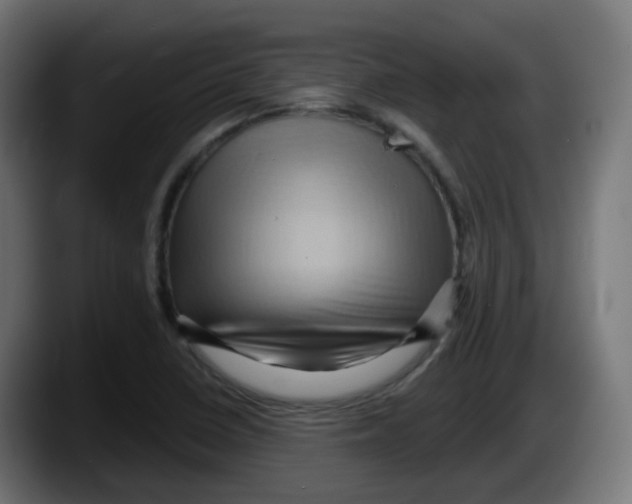 X0000087551410200705251731