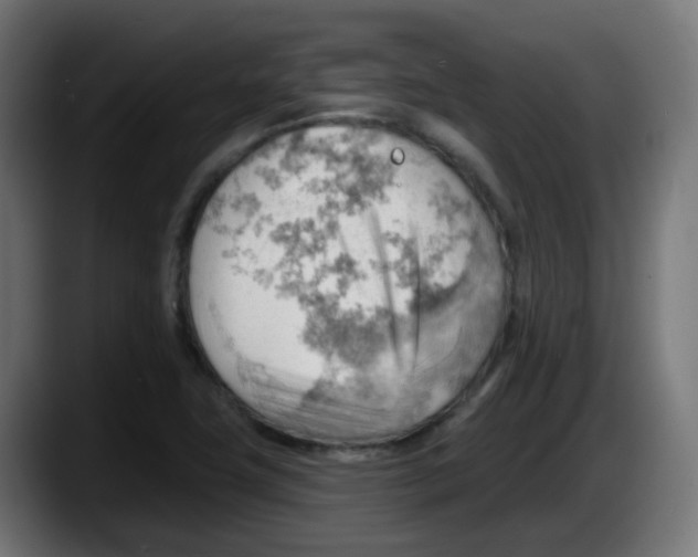 X0000087551411200705251731