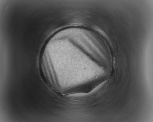 X0000087551412200705251731