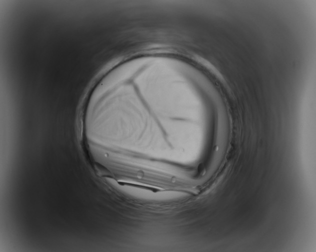 X0000087551413200705251731