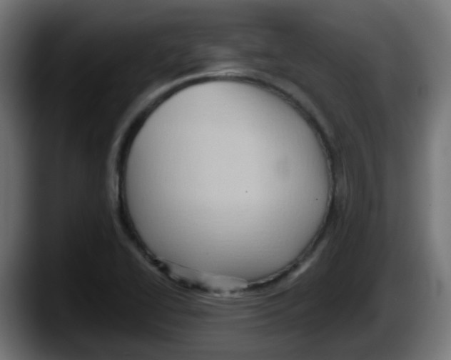 X0000087551414200705251731