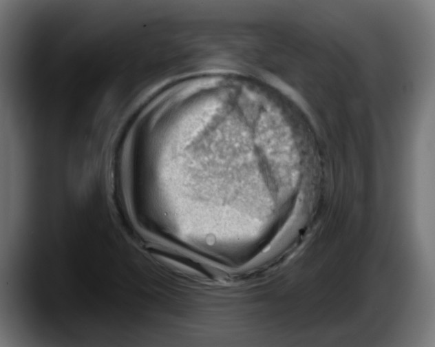 X0000087551415200705251731