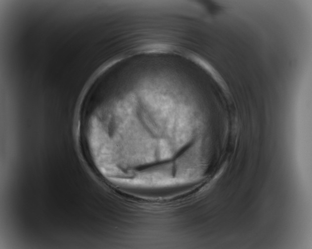 X0000087551418200705251731