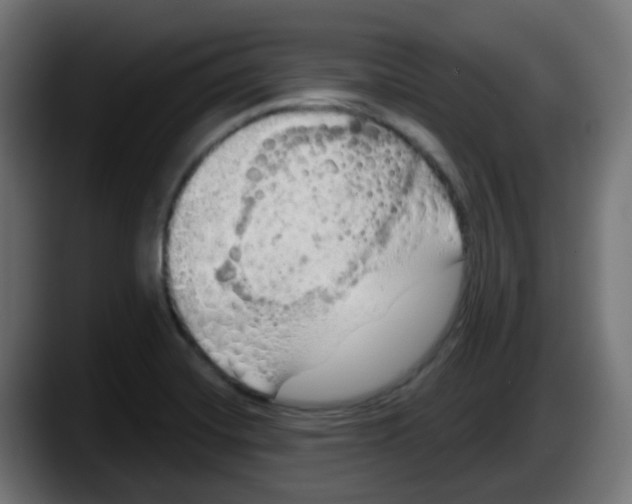 X0000087551420200705251731