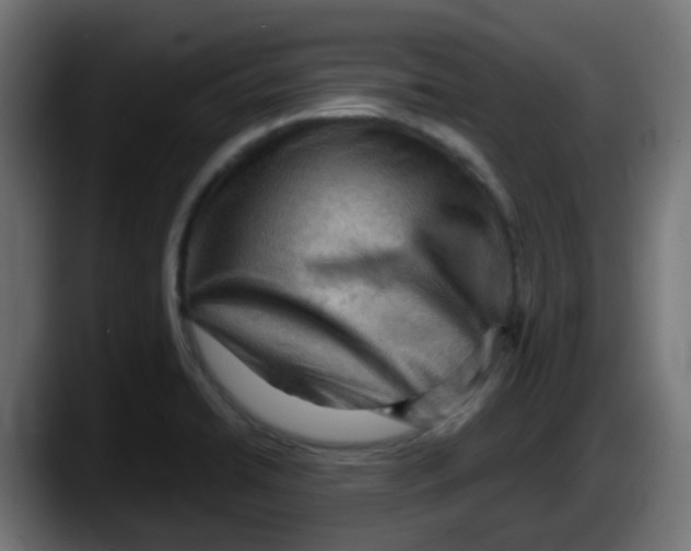 X0000087551422200705251731