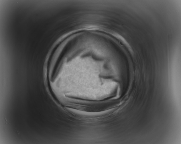 X0000087551424200705251731