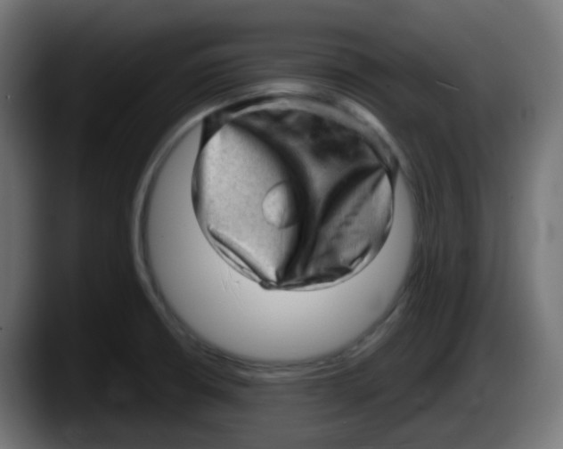 X0000087551426200705251731