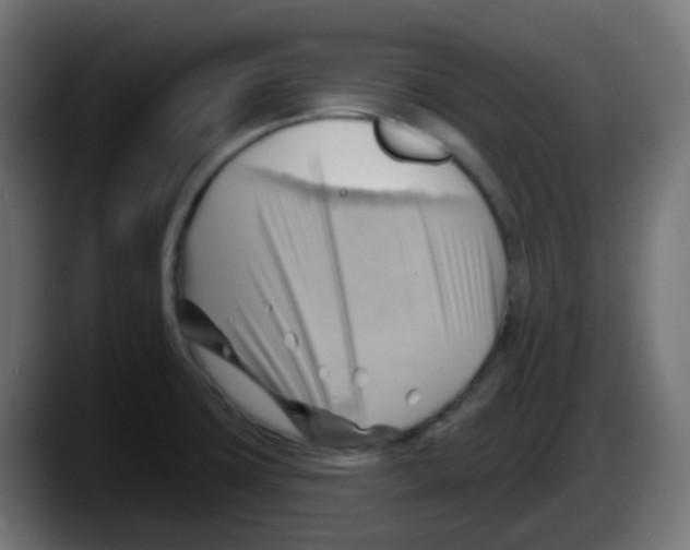 X0000087551427200705251731