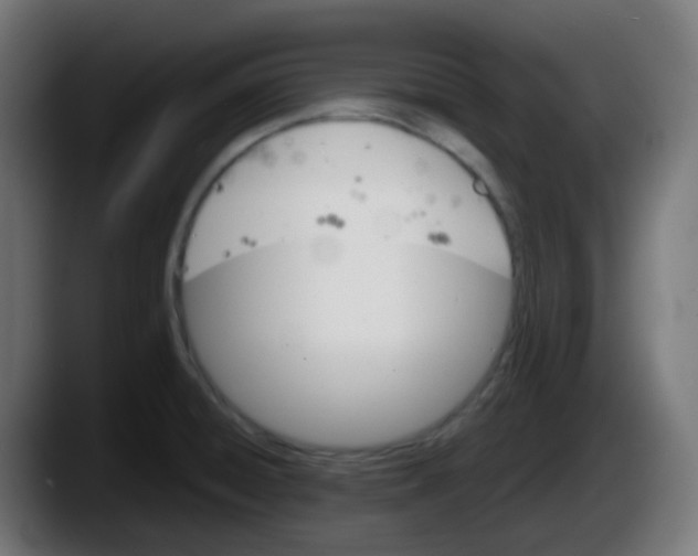 X0000087551428200705251731