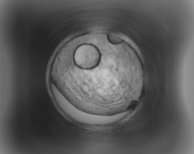 X0000087551429200705251731