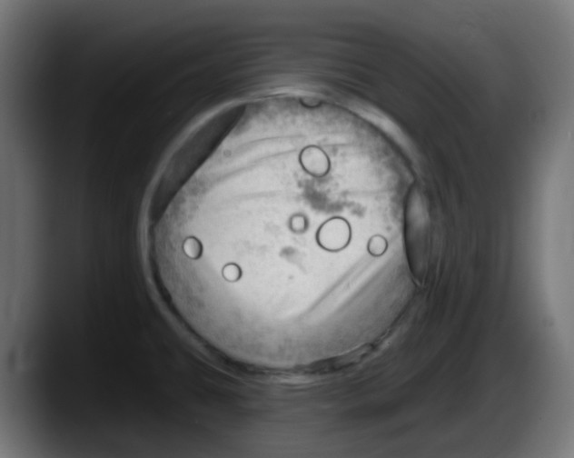 X0000087551431200705251731