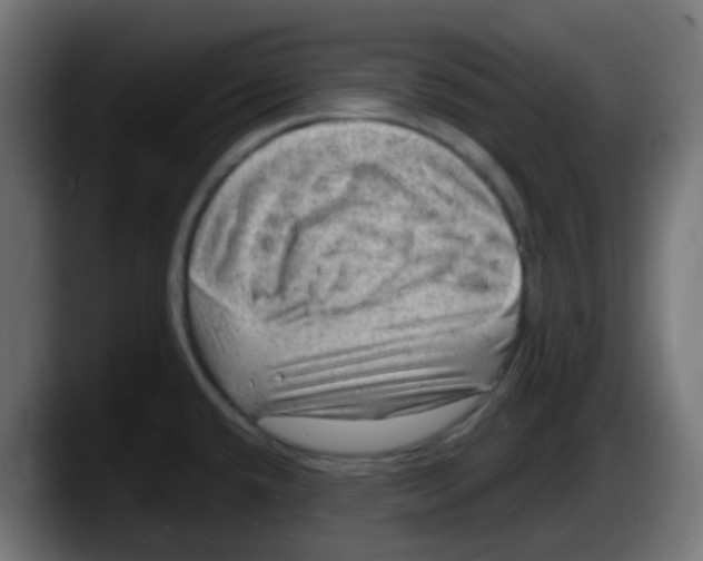 X0000087551432200705251731