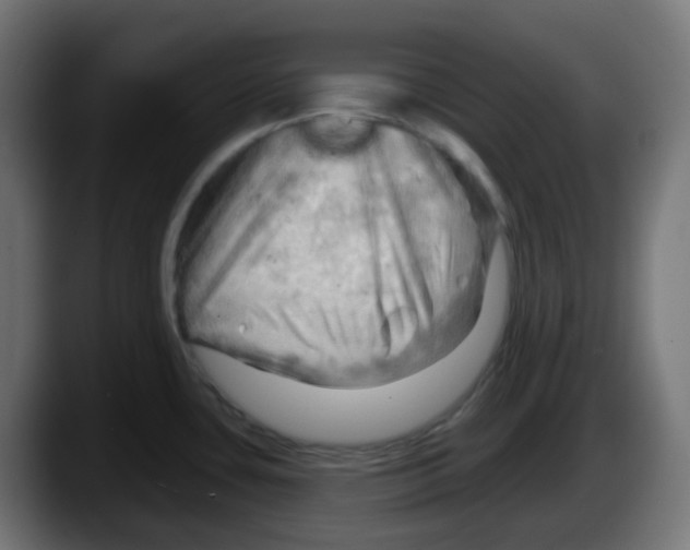 X0000087551435200705251731