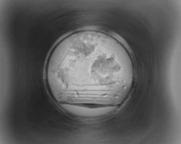 X0000087551436200705251731