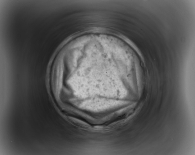 X0000087551437200705251731