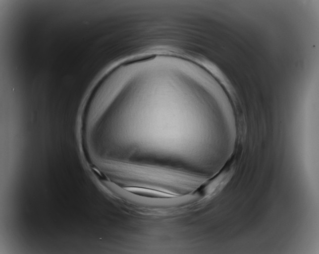 X0000087551438200705251731