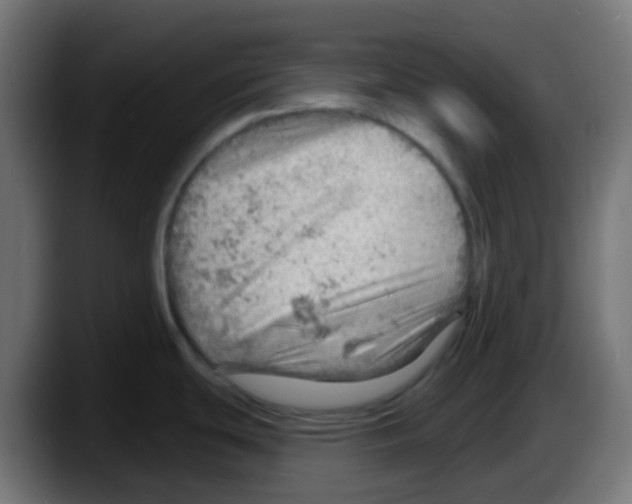 X0000087551439200705251731