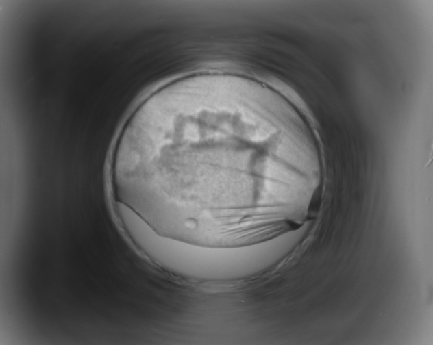 X0000087551440200705251731