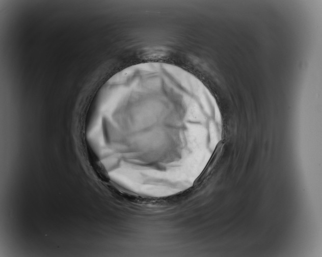 X0000087551441200705251731