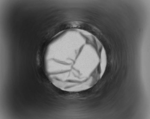 X0000087551442200705251731