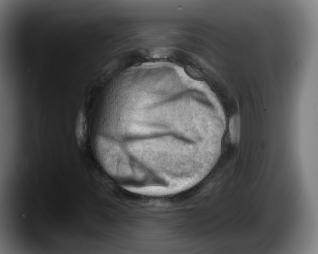 X0000087551443200705251731