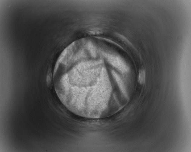 X0000087551444200705251731