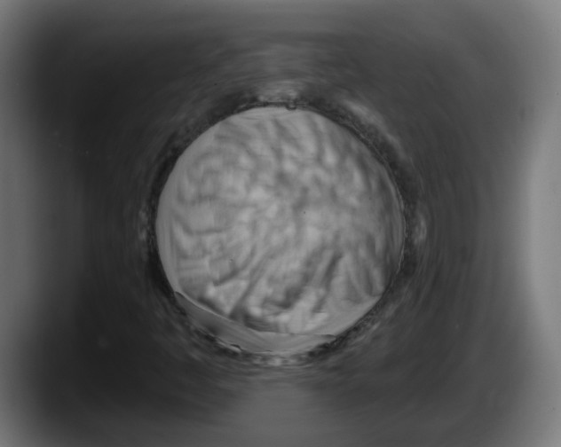 X0000087551445200705251731