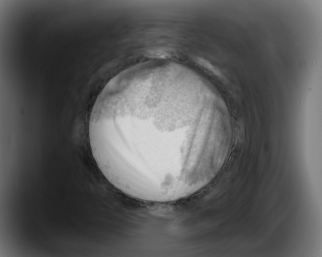 X0000087551446200705251731