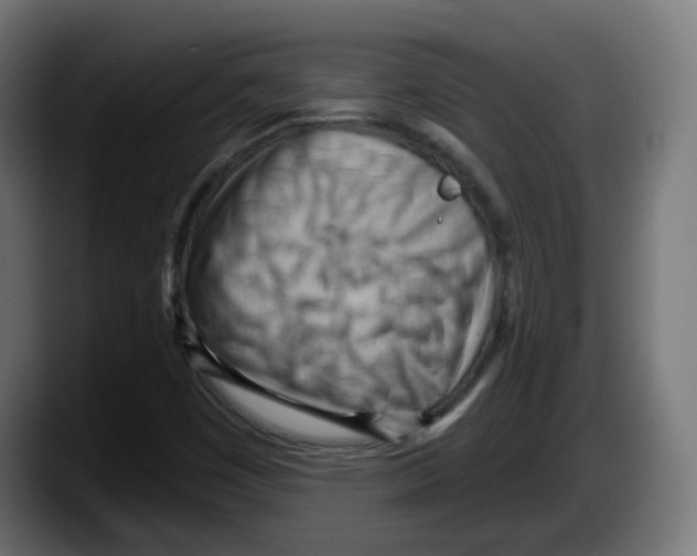 X0000087551449200705251730