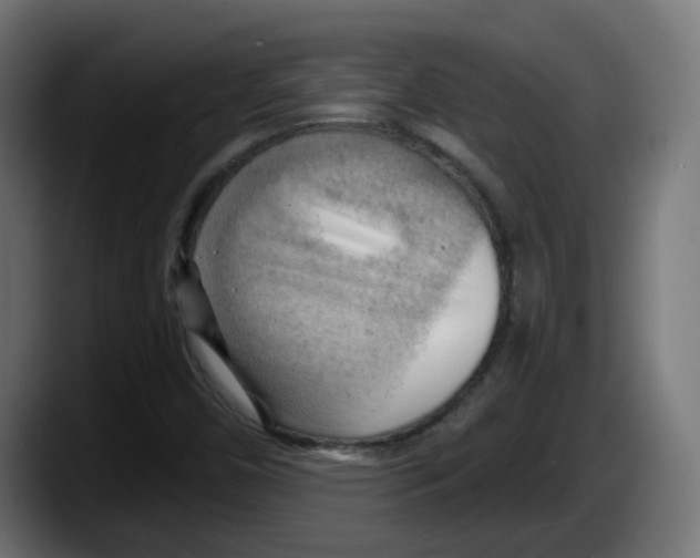 X0000087551450200705251730