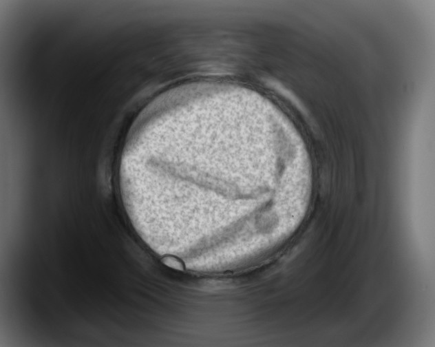 X0000087551451200705251730