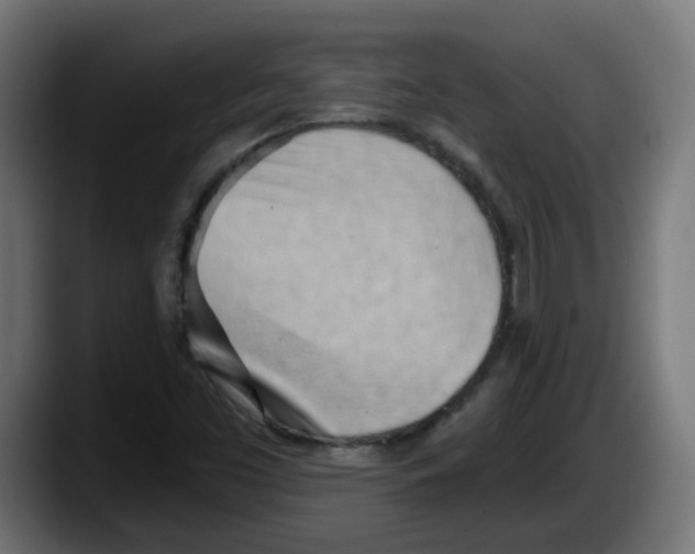 X0000087551453200705251730