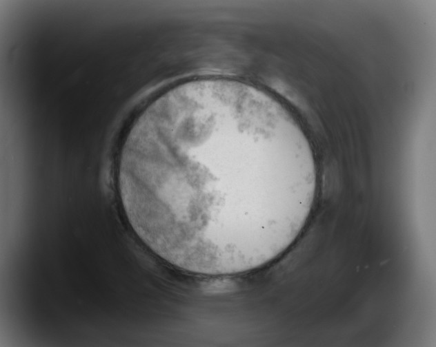 X0000087551454200705251730