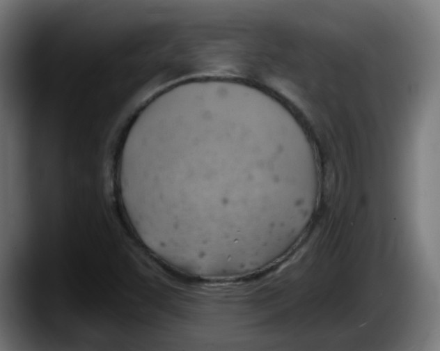 X0000087551455200705251730